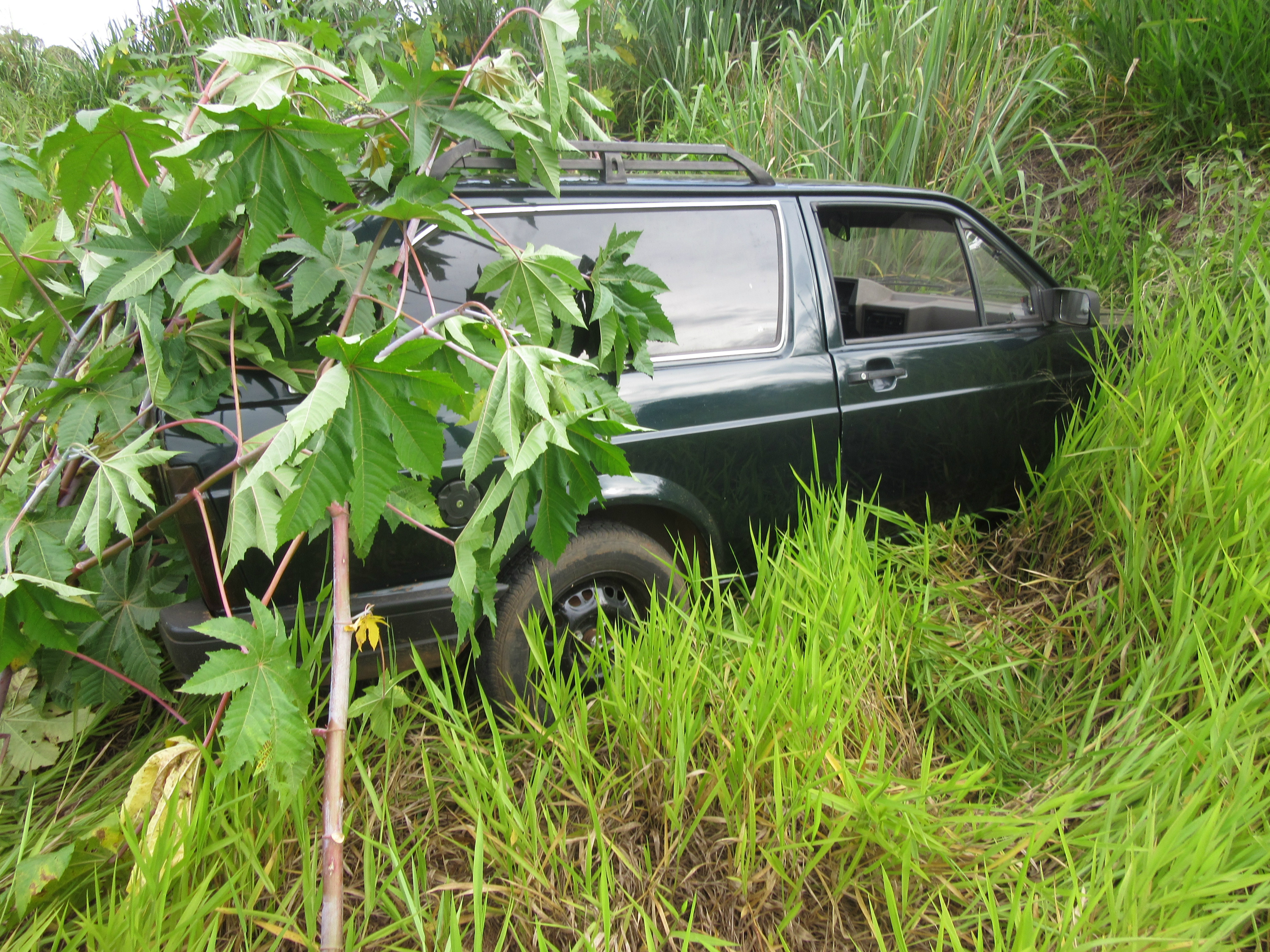 Créditos: Viviane Pinheiro