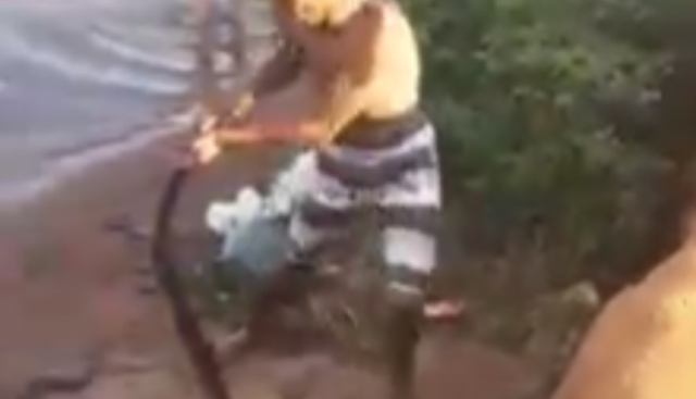 Vídeo viralizou nas redes sociais. Imagem: Reprodução / Redes Sociais